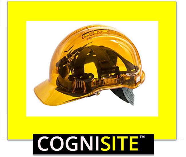 cognisie_logo_new 1